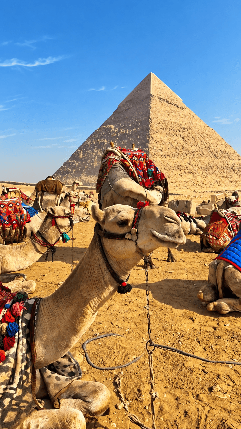 Cairo Day Trip from Hurghada